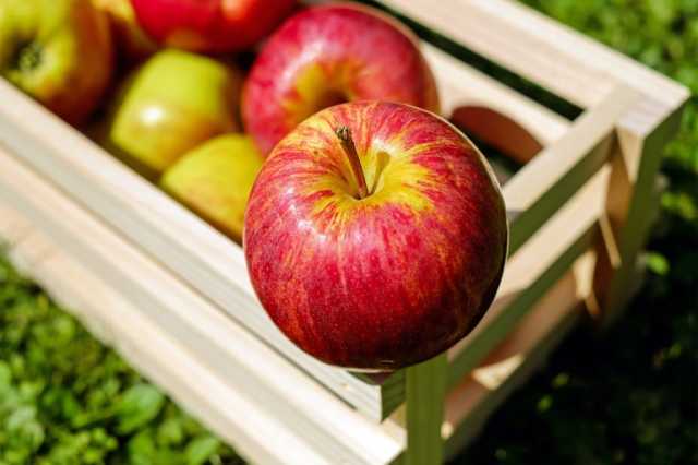 ما ‫أعراض حساسية التفاح؟
