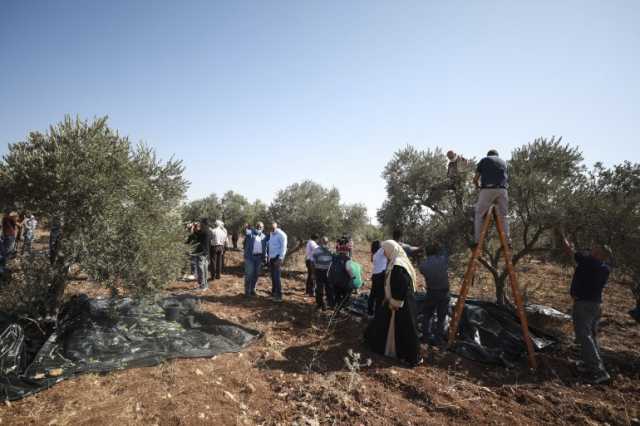 إصابة فلسطينيين ومتضامنة أجنبية باعتداء مستوطنين عليهم في الضفة