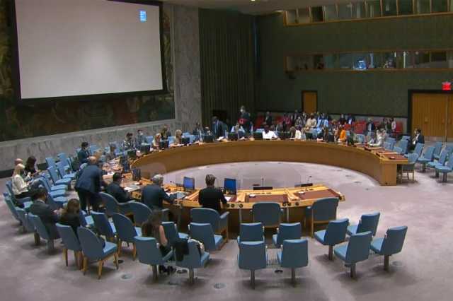 المجموعة العربية تطالب مجلس الأمن بوقف حرب غزة وأميركا تدعو لـوقف مؤقت