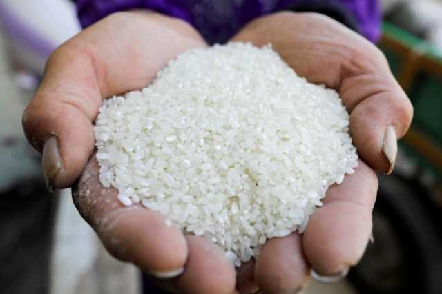 الهند تفرض ضريبة 20% على صادرات الأرز