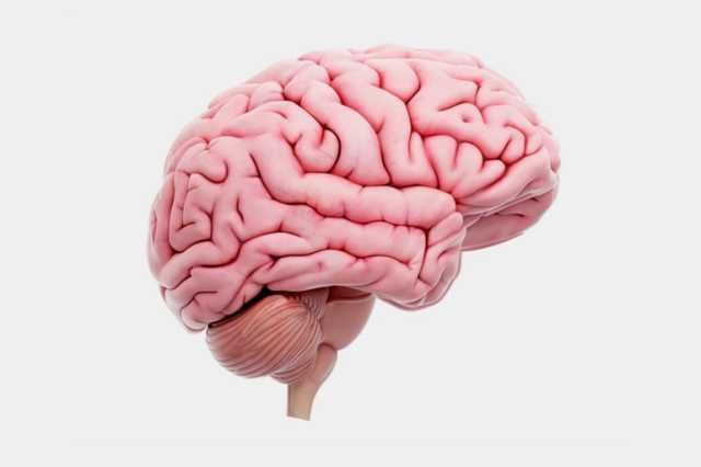 ما العلاقة بين تشنج العضلات والإصابة بأورام المخ؟