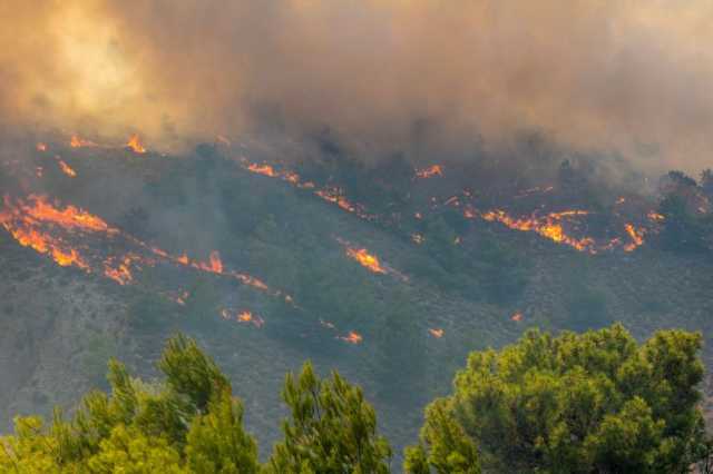 حرائق غابات 2023 من أعنف حرائق الغابات منذ 2000 في حوض المتوسط