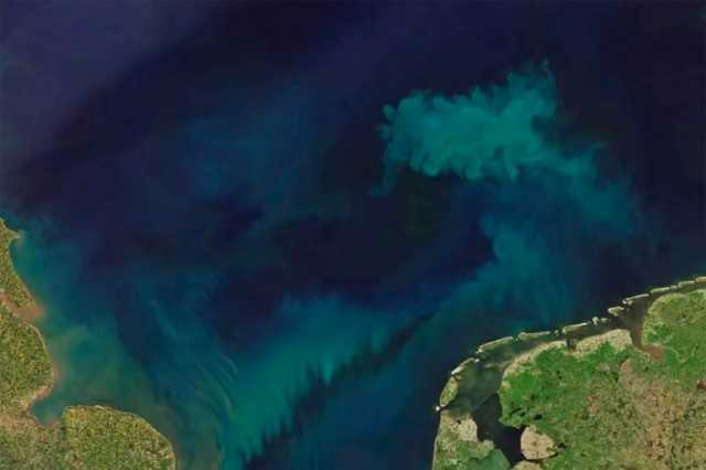 الأنشطة البشرية تتسبب في تغير لون مياه المحيطات إلى الأخضر