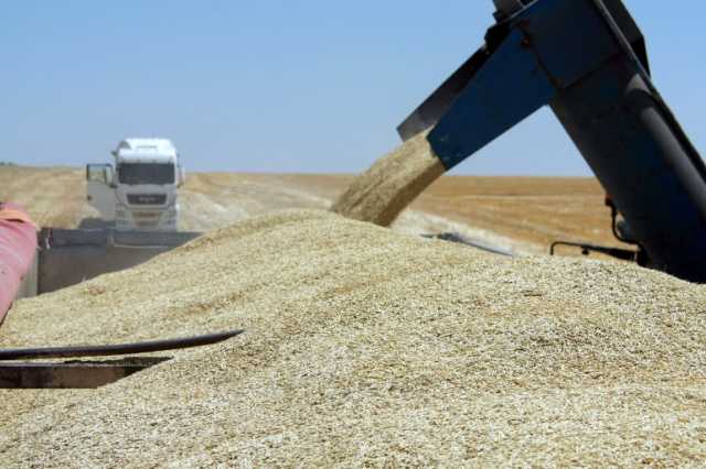 أوكرانيا.. اتفاق على إمكانية تصدير الحبوب عبر موانئ كرواتيا