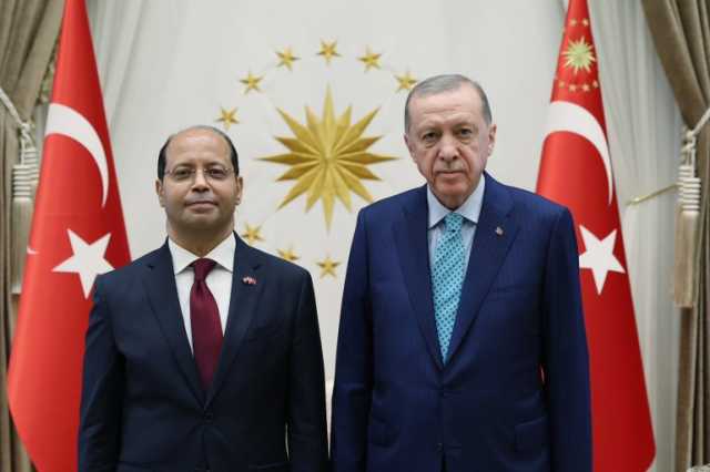 أردوغان يتسلم أوراق اعتماد السفير المصري