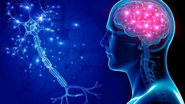 باحثون يحذرون من الأخطار المرتبطة بـالتكنولوجيا العصبية