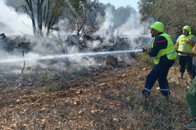 لماذا تستهدف إسرائيل حرق الأشجار جنوب لبنان؟