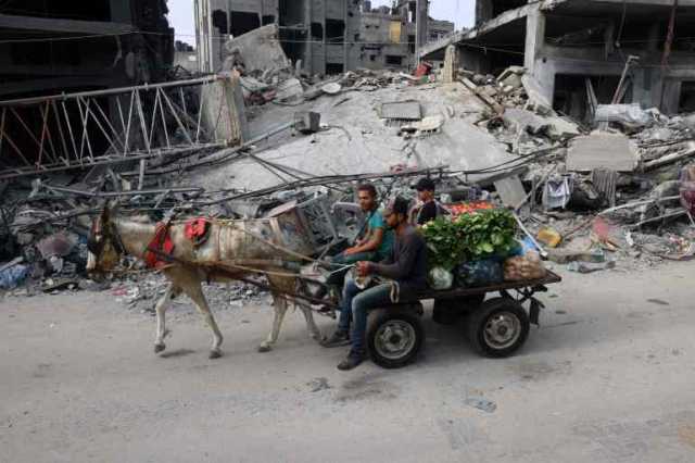 عربات تجرها الحمير.. وسيلة اضطرارية بغزة في ظل القصف والحصار
