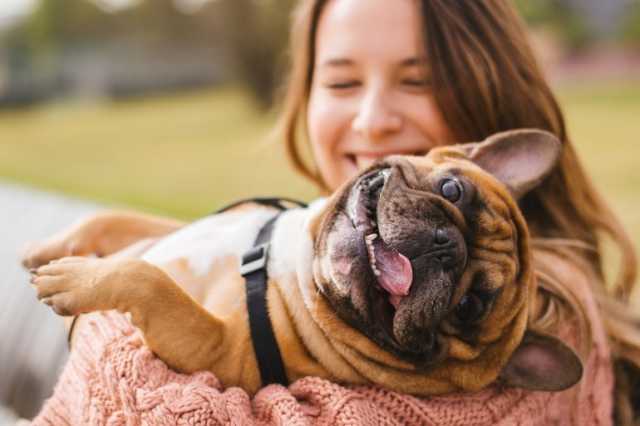 تربية الحيوانات الأليفة.. هل تجعلنا أكثر سعادة؟