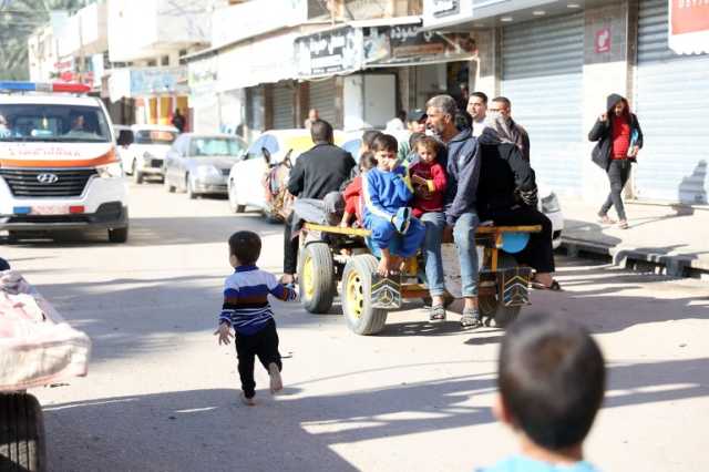 الخيل والحمير.. بديل أهل غزة للتنقل في يوميات العدوان