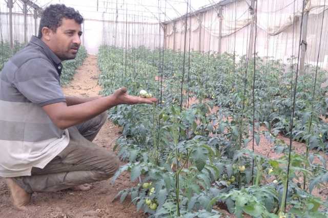 كيف يدمر العدوان الإسرائيلي القطاع الزراعي في غزة؟