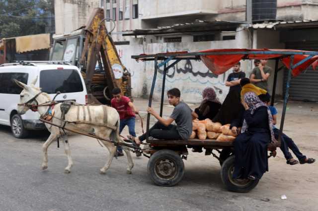 غزة تقاوم لتعيش.. عودة أفران الطين لصناعة الخبز وعربات الكارو وسيلة للتنقل