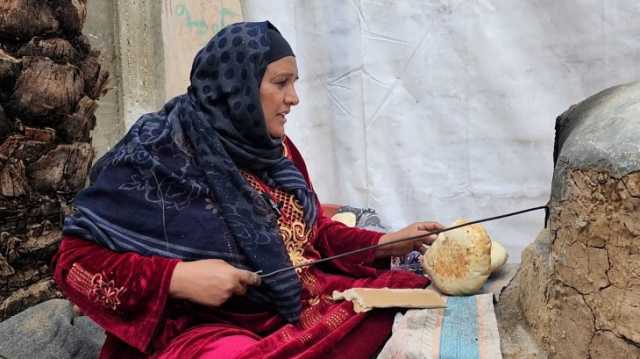 فيديو.. كتب ورسائل دكتوراه وجبات ثمينة للنار في غزة