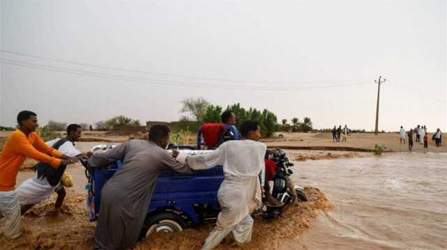 نتيجة انتشار الجثث.. منظمة غربية تحذر من تفشي الامراض في السودان