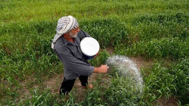 واشنطن بوست: أرز العنبر آخر ضحايا مناخ العراق.. كميات محدودة كالمخدرات!