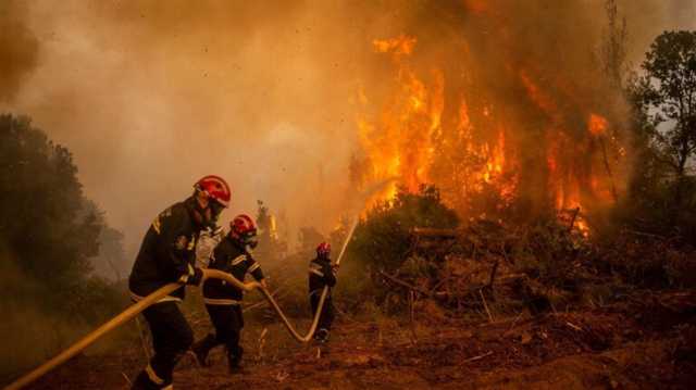حاصرتهم حرائق الغابات.. انقاذ 25 مهاجرا بين حدود تركيا واليونان