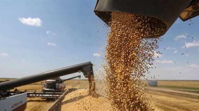 المفوضية الأوروبية ترفع القيود عن واردات الحبوب الأوكرانية