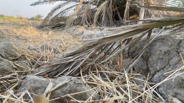 إحصائية بعدد العوائل النازحة بسبب التصحر والجفاف في محافظة عراقية