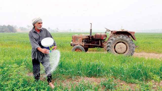 الخطة الزراعية الشتوية في العراق.. قرابة 7 ملايين دونم وستزداد في هذه الحالة