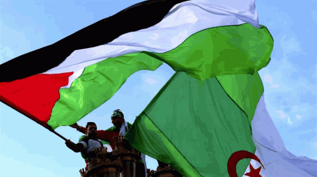 تضامنا مع غزة.. الجزائر توقف النشاطات الرياضية