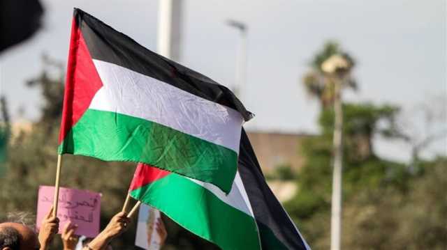 فنزويلا.. طوفان بشري تضامناً مع غزة وفلسطين