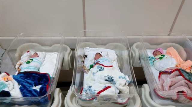 ولادة 3 توائم لامرأة ثلاثينية في كربلاء (صور)