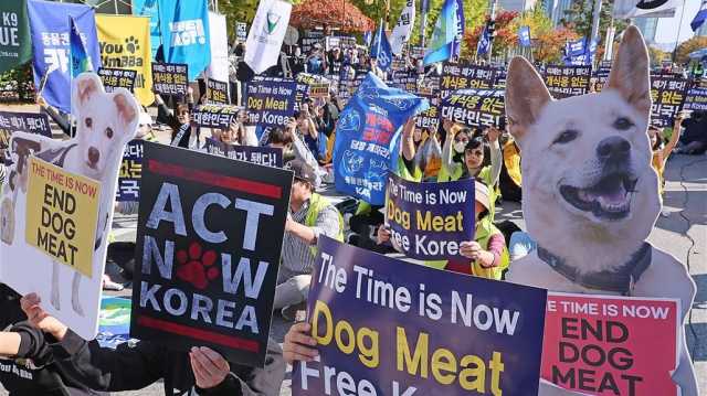 قرار تاريخي.. كوريا الجنوبية تصوت على حظر استهلاك لحوم الكلاب