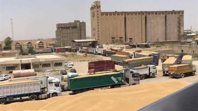 عمليات تلاعب في تسويق الموصل.. متنفذون يسلبون حنطة الفلاح بثمن بخس ويبيعوه للدولة