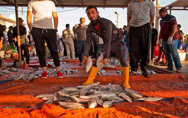 لماذا الزبيدي؟.. صيادو البصرة: الكويت مسؤولة عن انخفاض انتاجنا من الأسماك