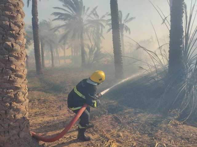 حريق يلتهم عددًا من بساتين الزبيدية شرق واسط والدفاع المدني يتدخل (صور)