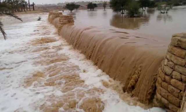 بعد موجة مطرية غزيرة.. بدء تدفق السيول في 7 وديان بين العراق وإيران (فيديو)