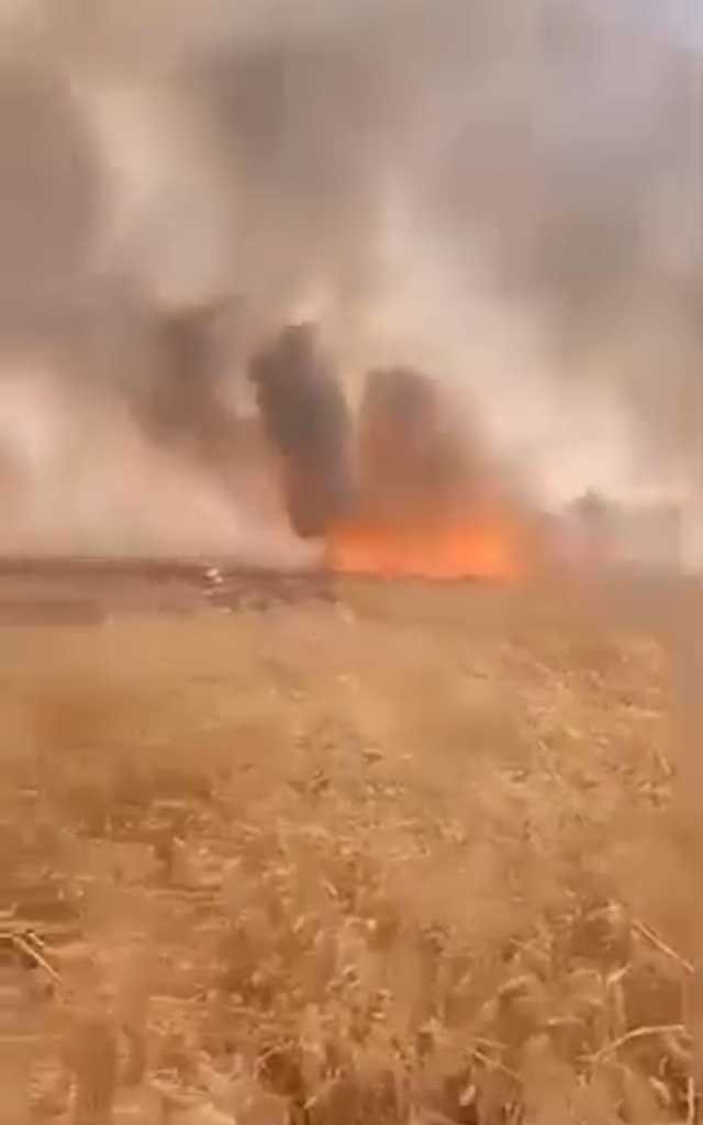 ألسنة النيران تلتهم 80 دونمًا في مزرعة حنطة بالسماوة