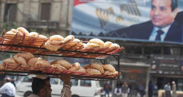 مصر تتهم دولاً مجاورة بالتسبب في أزمتها الاقتصادية