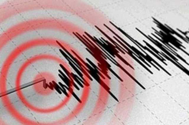 زلزال بقوة 4.7 يضرب محافظة كرمان جنوب شرق ايران