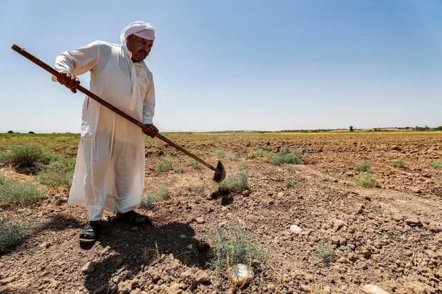 التصحر يهدد 93% من مساحة العراق.. تحشيد للتعامل مع البيئة كأولوية أمن قومي - عاجل