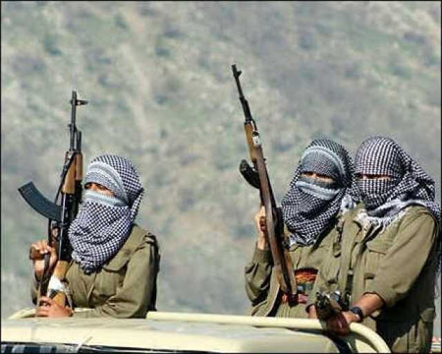 تحييد 4 عناصر من PKK داخل حدود تركيا