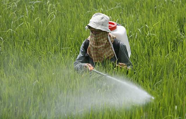 في بيان غاضب.. الزراعة ترد على حقيقة الأسمدة المسرطنة