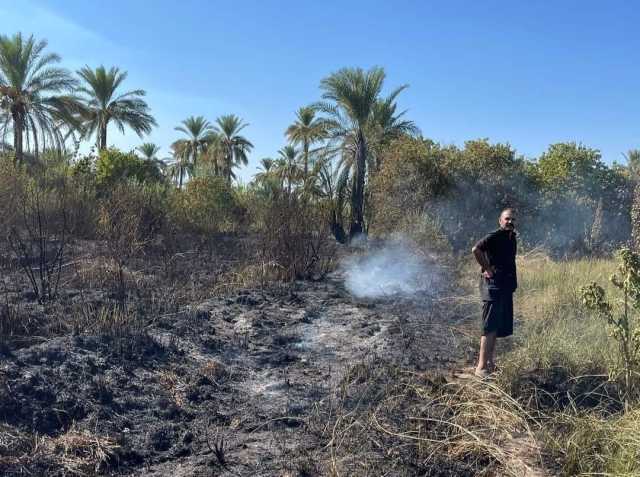 السيطرة على حريق التهم بساتين في صلاح الدين.. تحقيق فوري