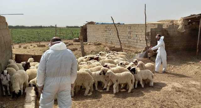 ذي قار تسجل 36 اصابة بـ الحمى النزفية والشطرة تنال حصة الأسد