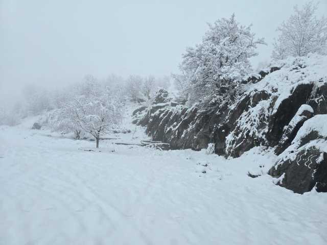 جبال كردستان ترتدي الثوب الأبيض (صور)