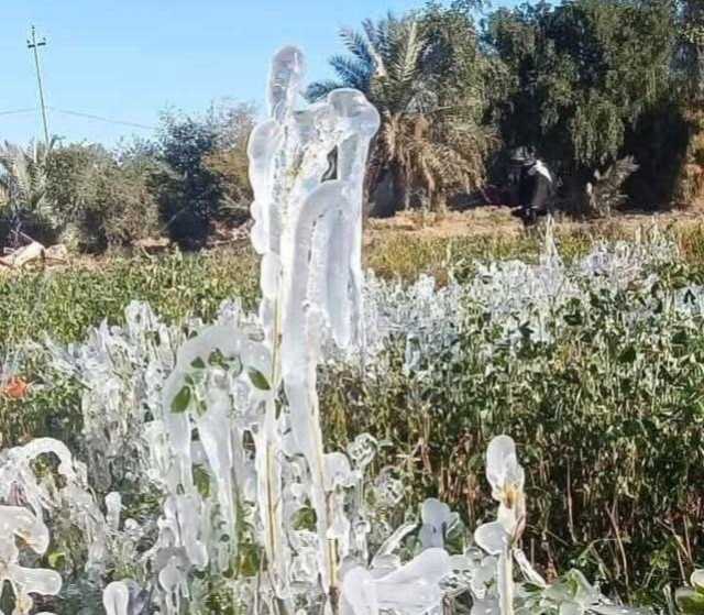 طقس العراق: استمرار الانخفاض بدرجات الحرارة وفرص واردة للانجماد الأرضي