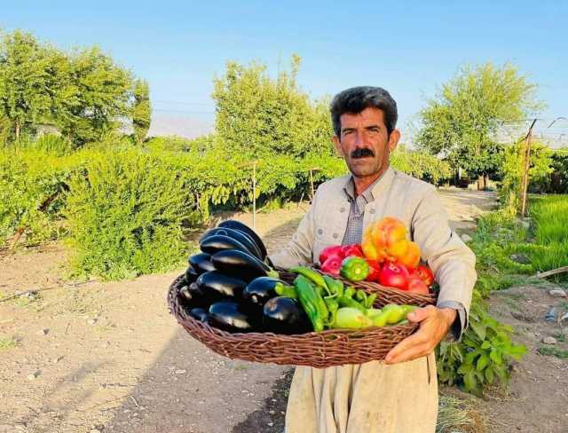 الإقليم يسعى لتصدير محاصيله الزراعية إلى دول الخليج