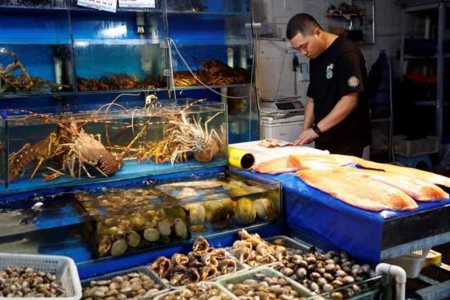 روسيا تأمل زيادة صادرات الأسماك إلى الصين بعد حظر اليابان