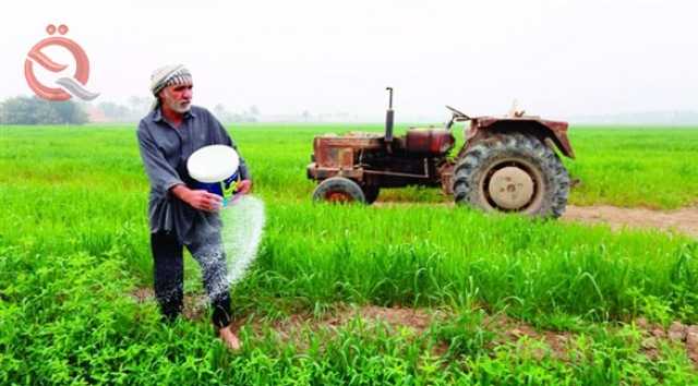 العراق يستعين بأسلوب 'الزراعة الجافة' لديمومة إنتاج رز العنبر