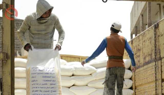 التجارة تخطط لإنشاء أفران لتجهيز الصمون في بغداد بدلا من الطحين بمبالغ بسيطة