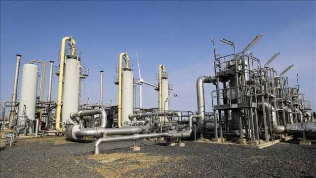 مصر ترسي 4 مناطق لاستكشاف النفط والغاز على أربع شركات
