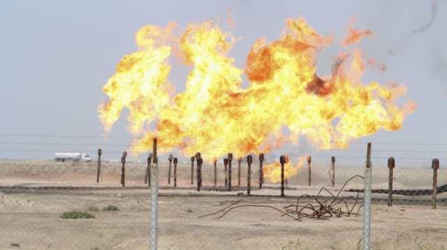 وزارة الكهرباء: نحرص على تنويع مصادر الغاز