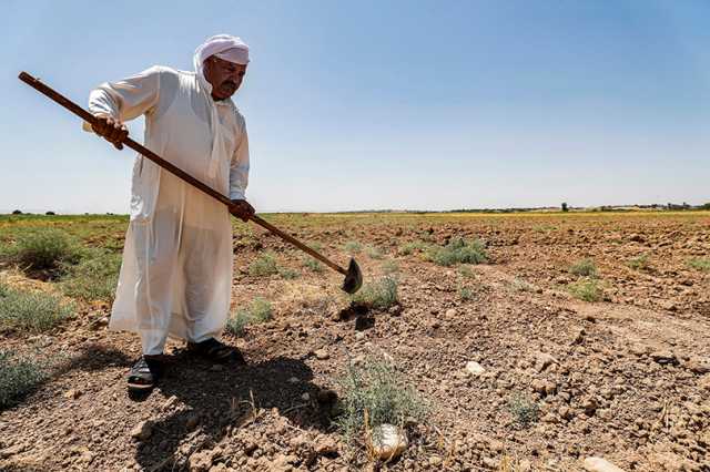 نبأ سار للمتفرغين الزراعيين في جميع المحافظات