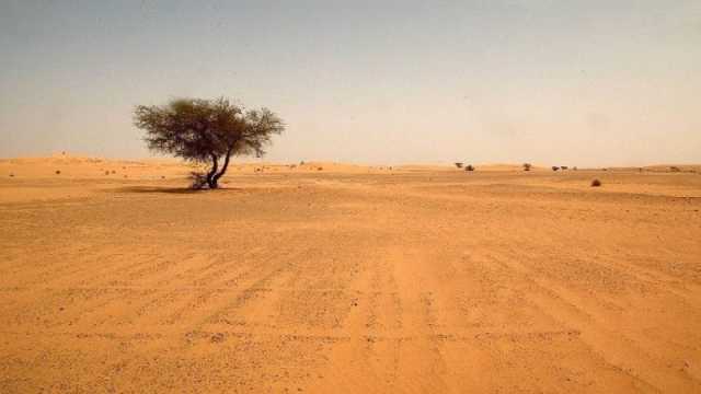 لجنة نيابية تدعو لاستثمار صحراء العراق: نسبتها تصل لـ45 %