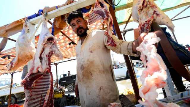 صلاح الدين تحدد أسعار اللحوم وتتوعد بمحاسبة المتلاعبين